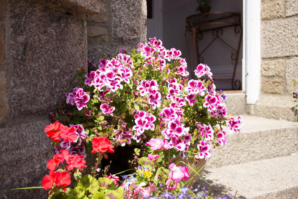 Glenleigh Bed & Breakfast